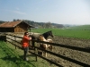 cimg0394_0