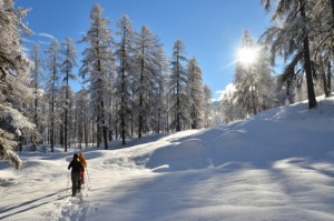 Sonnige Winterwanderung