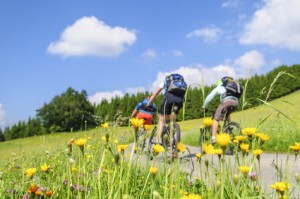 MTB und Nordic Walking